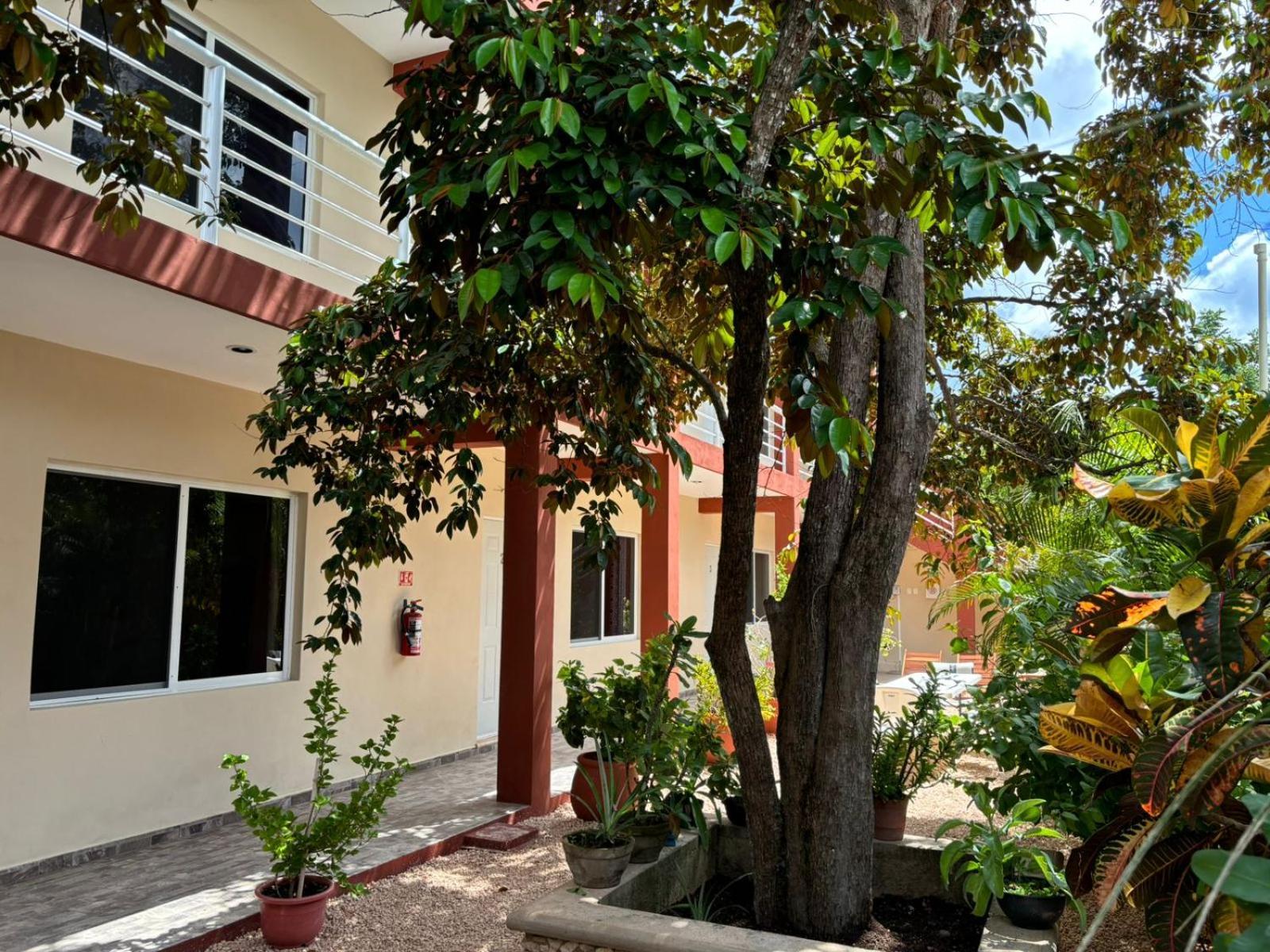 Casa Del Cenote Hotel Valladolid  Eksteriør billede